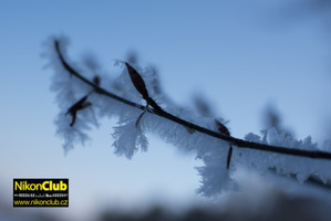 Test a recenze objektivů TAMRON 35 mm a TAMRON 45 mm f/1.8 Di VC USD