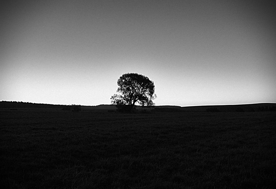 In the middle of nowhere ...