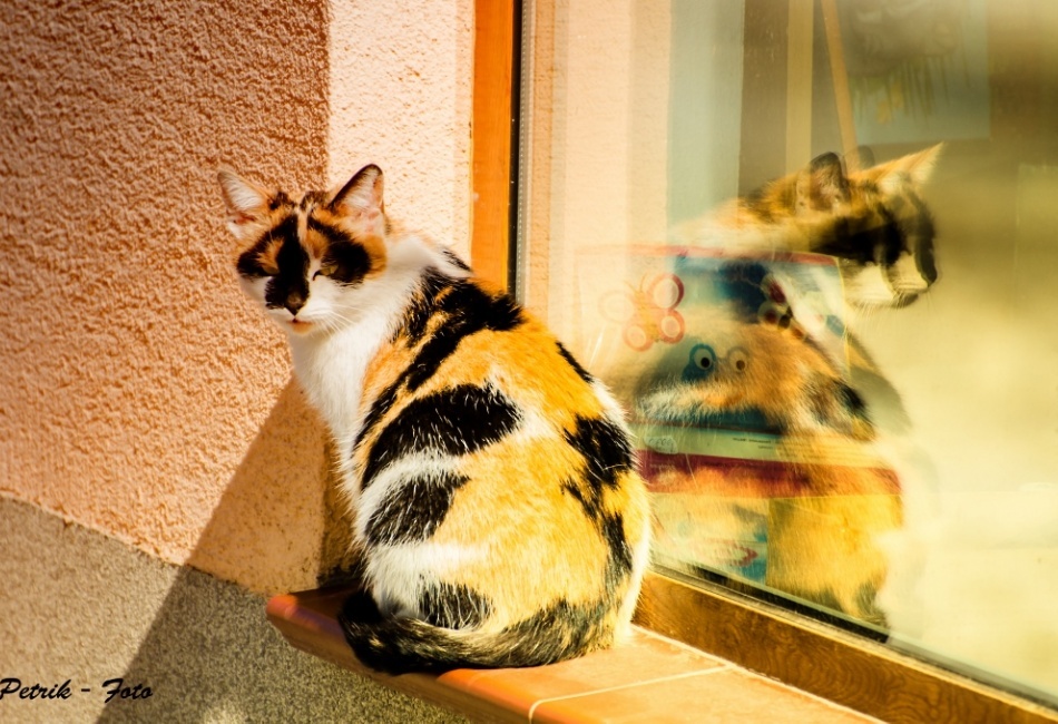 ako sa mi dobre vyhrieva na okne 