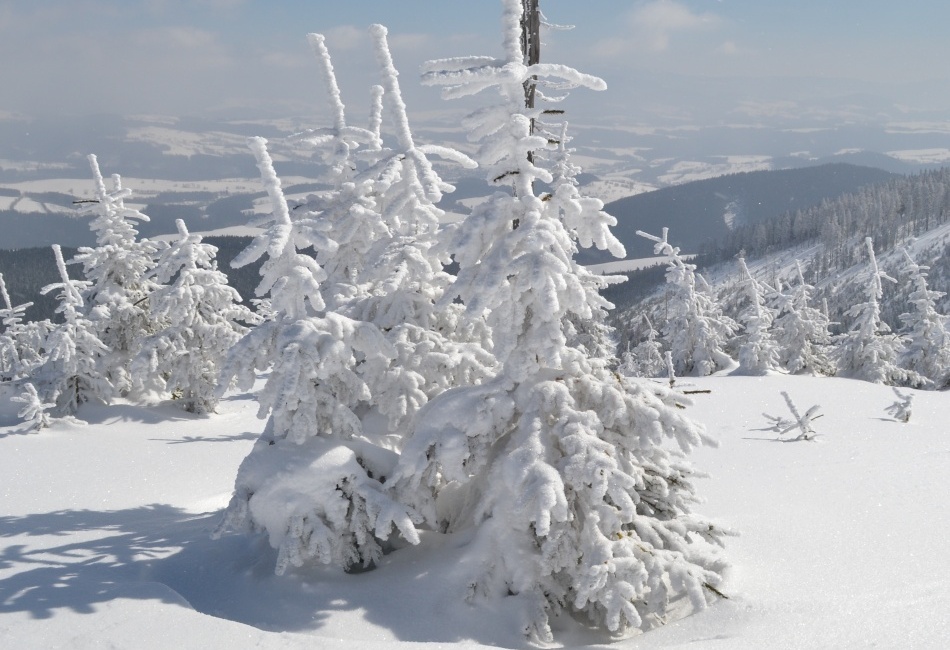 Kralický Sněžník - Tři bratři