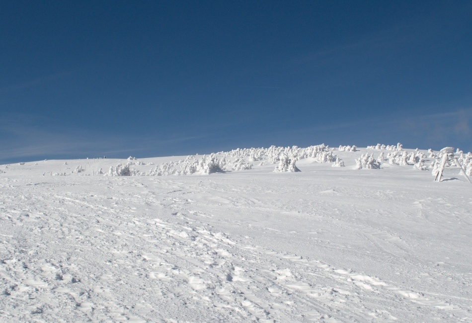 Kralický Sněžník -  Vrchol