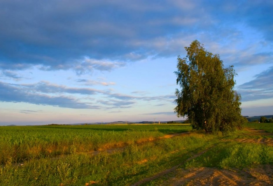 před západem slunce