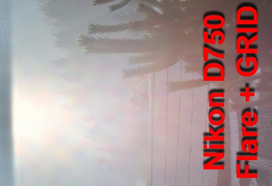 D750 flare + GRID