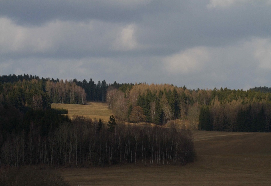 jesenný - les na východě