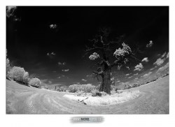 Opět IR filtr vyrobený z FUJI Velvia 50, nyní ale na Nikon D70 a AF DX 10,5mm f/2,8 Fisheye