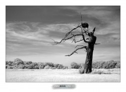 Neupravený Nikon D70 + šroubovací IR filtr B+W 092 MRC F-Pro