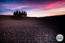 FOTOEXPEDICE TOSKÁNSKO MONTALCINO