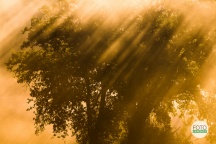 FOTOEXPEDICE Toskánsko Pienza