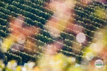 FOTOEXPEDICE TOSKÁNSKO Pienza