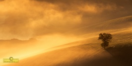 Fotoexpedice Toskánsko