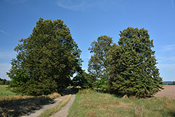 Ukázkový snímek Nikon D7100 + AF-S 18-140mm f/3,5-5,6 G ED