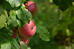 Ukázkový snímek Nikon D7100 + AF-S 18-140mm f/3,5-5,6 G ED