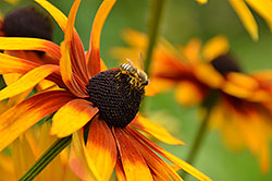 300mm; f/8, 1/200, ISO 400