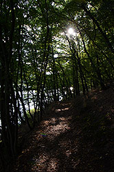 18mm; f/8; 1/60; ISO 400