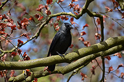 Nikon D600 + AF-S Nikkor 80-400mm f/4,5-5,6 G ED VR