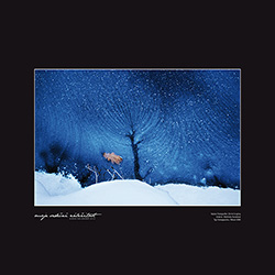 Markéta Butalová - Zimní krajina