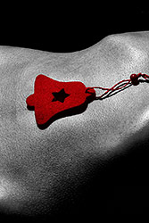 Nissin - zkušební foto III.