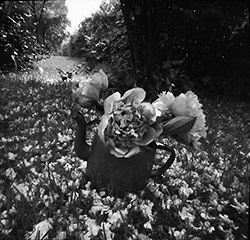 Ukázka dírkové fotografie - foto Jiří Marek