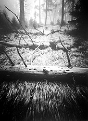 Ukázka dírkové fotografie - foto Jiří Marek