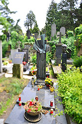 PC-E Nikkor 24mm f3.5D ED