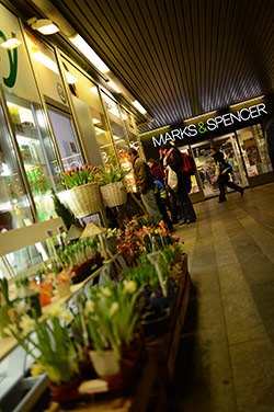 Sigma 35/1,4 + Nikon D4, foto Vojta Herout