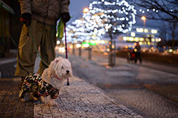 Sigma 35/1,4 + Nikon D4, foto Vojta Herout