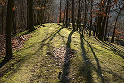 Sigma 35/1,4 + Nikon D800, foto Michal Kupsa