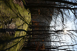 Sigma 35/1,4 + Nikon D800, foto Michal Kupsa