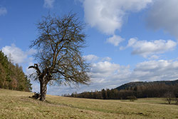 Sigma 35/1,4 + Nikon D800, foto Michal Kupsa