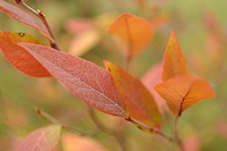 Ukázkové foto č.1