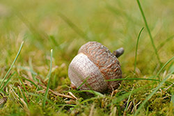 Ukázkové foto č.3