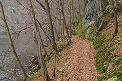 Ukázkové foto č.4