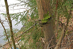 Ukázkové foto č.5