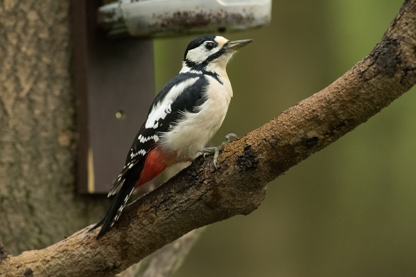 odkaz na plné rozlišení !!!
